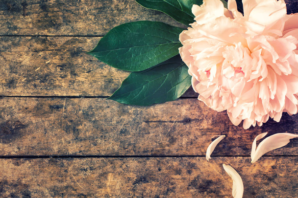 old wooden table with peony flower - 写真・画像