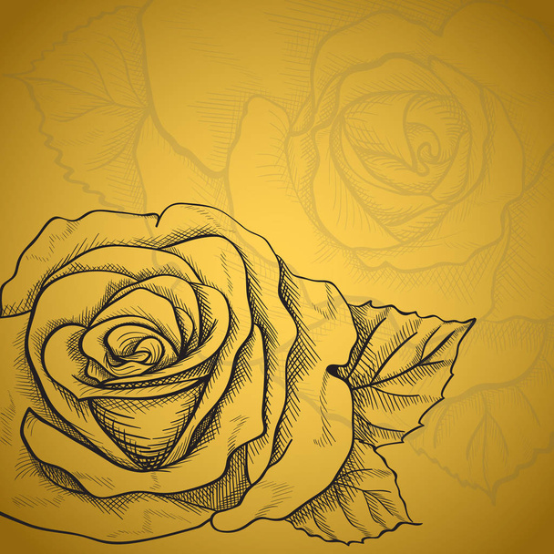 Sketch rose flower - Vektori, kuva