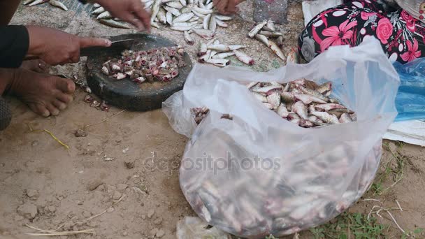 Naiset leikkaavat pienten kalojen pään irti pyöreillä puulevyillä maassa teurastusveitsillä (lähikuva)
 ) - Materiaali, video