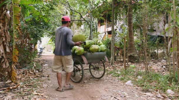 Kokosnussverkäufer pflückt die Früchte und lädt sie auf seinen Fahrradanhänger auf Kokosnusssträuße   - Filmmaterial, Video