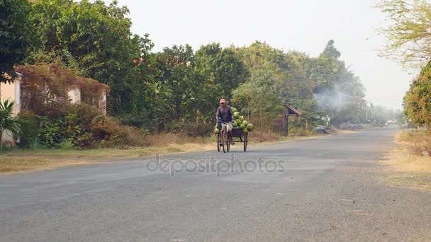 Продавец кокосовых орехов едет на своем прицепе с кучей кокосов по сельской дороге.
 - Кадры, видео