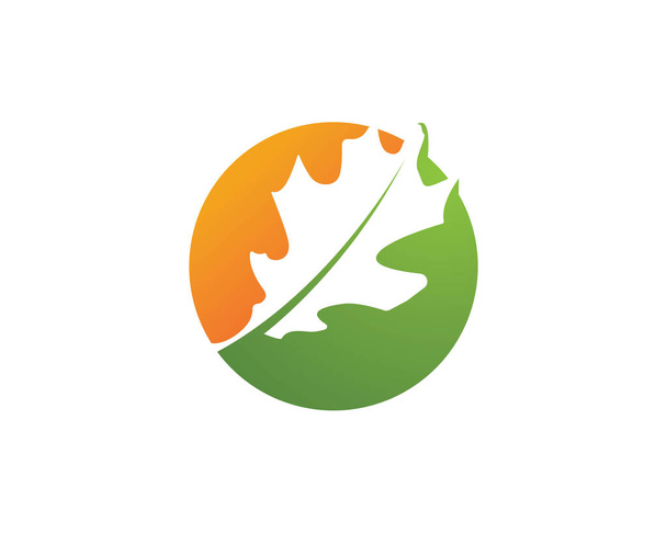 Meşe yaprağı logo ve sembolleri vektör şablonu - Vektör, Görsel