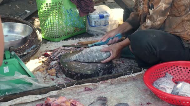 Ψάρια προμηθευτή κλιμάκωση μεγάλα ψάρια στο στάβλο αγοράς (κοντινό πλάνο ) - Πλάνα, βίντεο