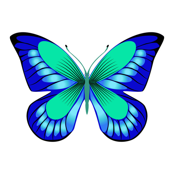 Jasny piękny motyl niebieski ozdobny. Ilustracja wektorowa  - Wektor, obraz