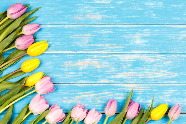 Bunch of yellow and pink tulips on a blue wooden background. - Photo, image