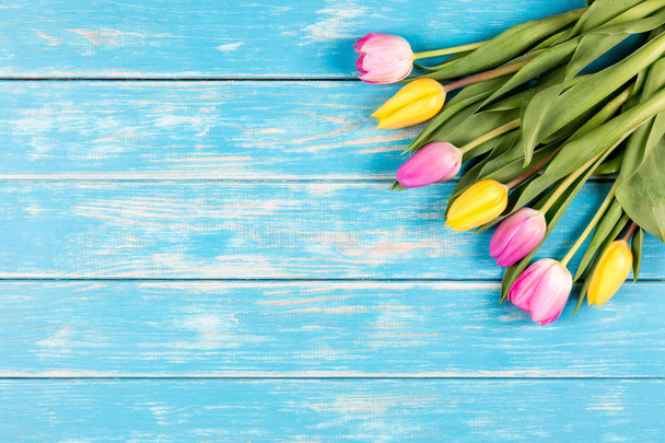 Bando de tulipas rosa e amarela em um fundo de madeira azul
. - Foto, Imagem