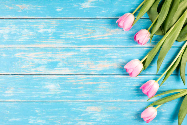 Pink tulips on a blue wooden background. - Zdjęcie, obraz