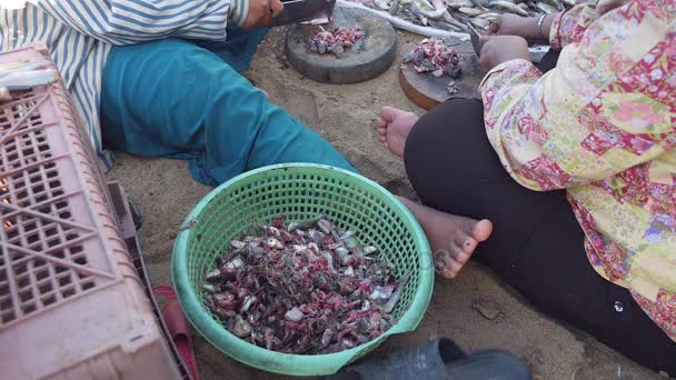 Women cutting little fishes' head off on round wooden boards on the ground using butcher knives; Green basin with fish waste in the foreground  - Footage, Video