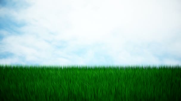 Hierba verde fresca
 - Metraje, vídeo
