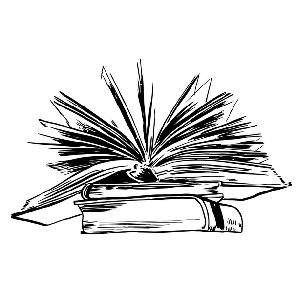 Книги и пикники
 - Вектор,изображение