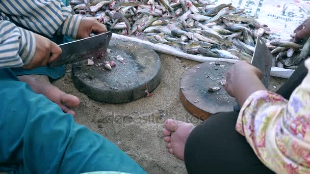 Mulheres cortando a cabeça de pequenos peixes em tábuas de madeira redondas no chão usando facas de açougueiro
 - Filmagem, Vídeo