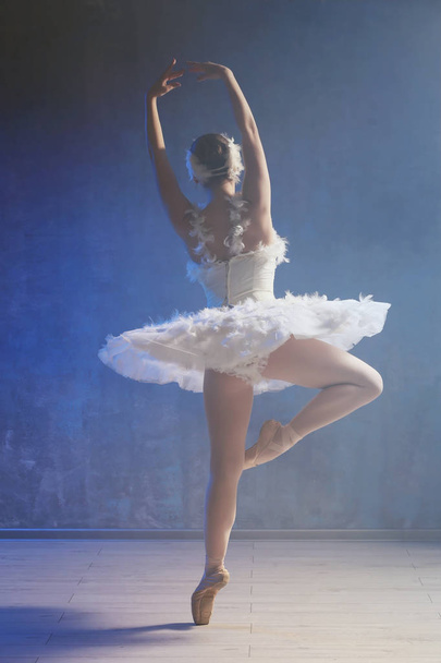 Young beautiful ballerina - Zdjęcie, obraz