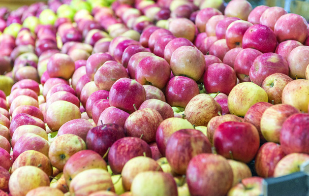 Section des pommes fraîches sur le supermarché de détail
 - Photo, image