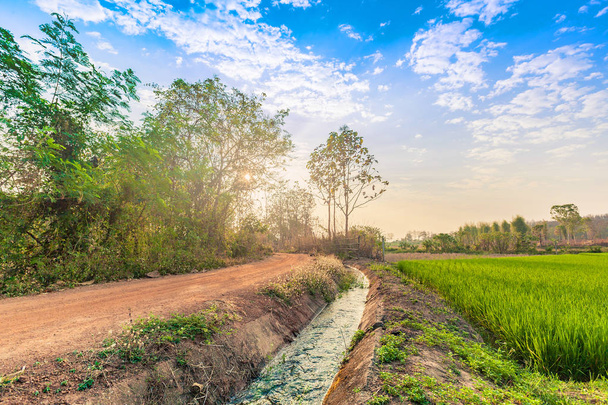 venkovské krajiny s polní cestu a potok zelené rýžové pole v sunrise modrou oblohou - Fotografie, Obrázek