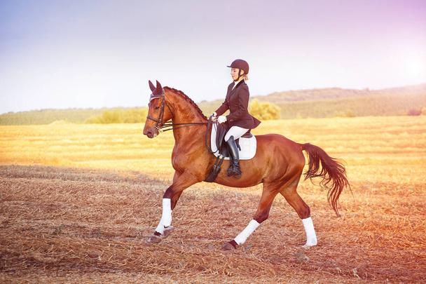 女性が馬に乗って。馬術スポーツウーマン ジョッキー - 写真・画像
