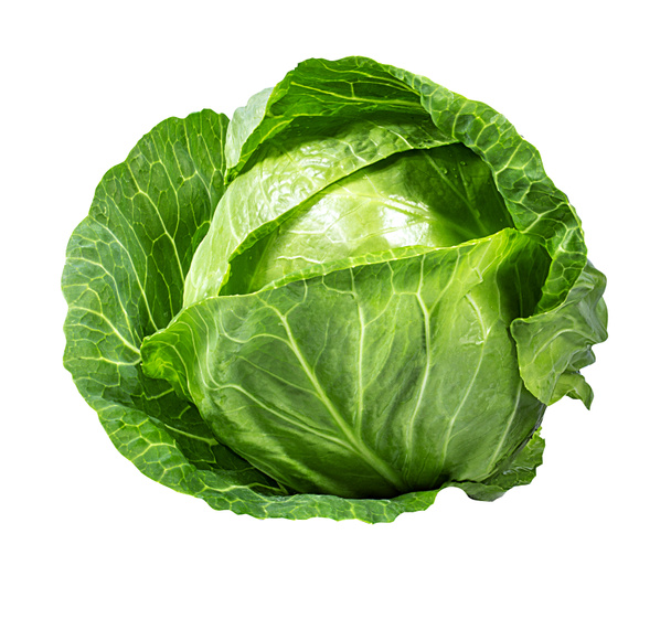 Green cabbage isolated on white  - Zdjęcie, obraz