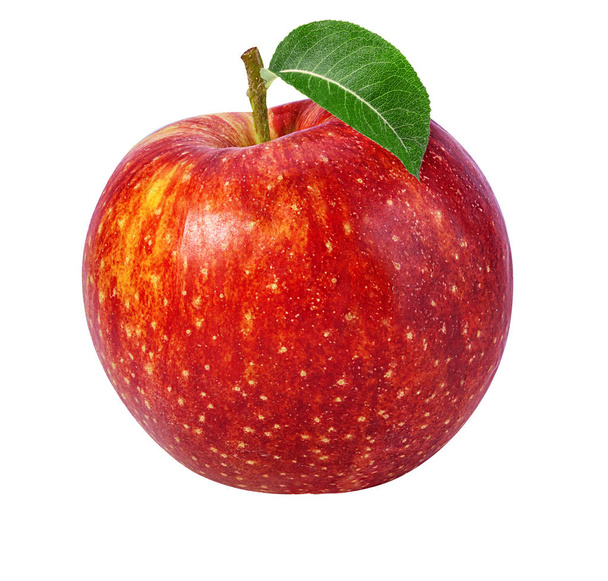 Manzana aislada en blanco  - Foto, imagen