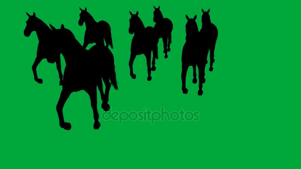 άλογα που καλπάζουν - χωρίζονται στην πράσινη οθόνη - Πλάνα, βίντεο