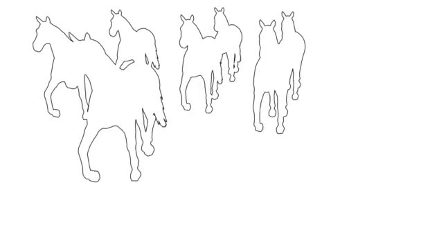  konie w galopie - rozdzielone na biały ekran - Materiał filmowy, wideo