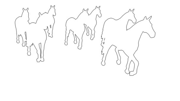άλογα που καλπάζουν - διαχωρίζονται σε λευκή οθόνη - Πλάνα, βίντεο