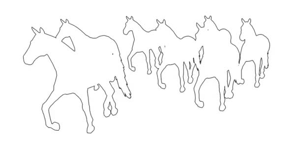  caballos galopando - separados en pantalla blanca
 - Metraje, vídeo