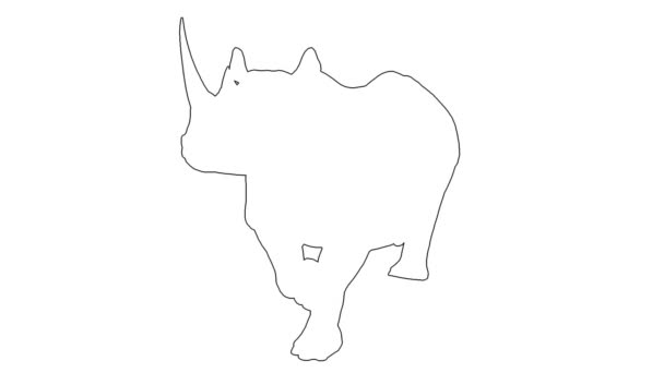 Rhino walks - separated on white background - Footage, Video