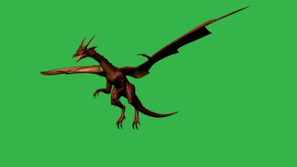 Dragon in fly - gescheiden op groen scherm - Video
