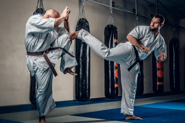 Két karate harcos - Fotó, kép