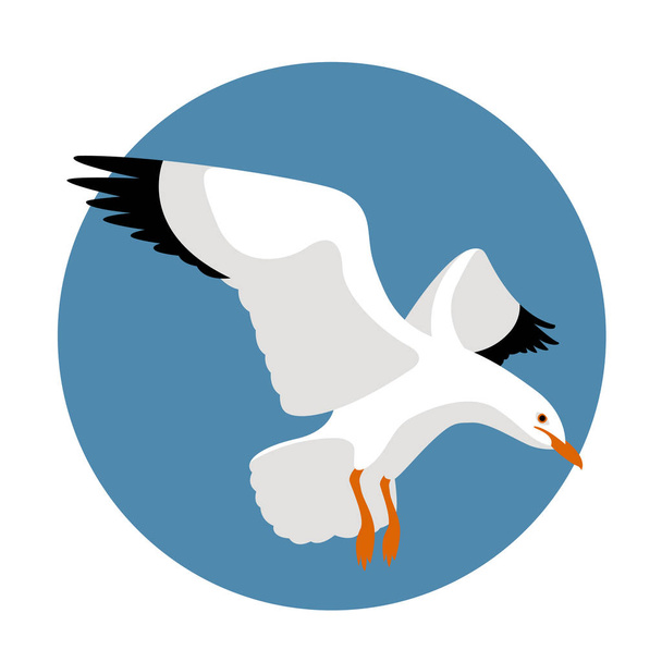 стиль векторной иллюстрации чайки Flat
 - Вектор,изображение