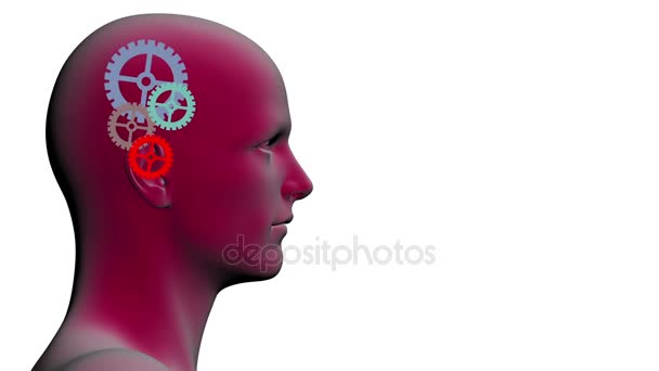  engranajes giratorios dentro de la cabeza
 - Metraje, vídeo
