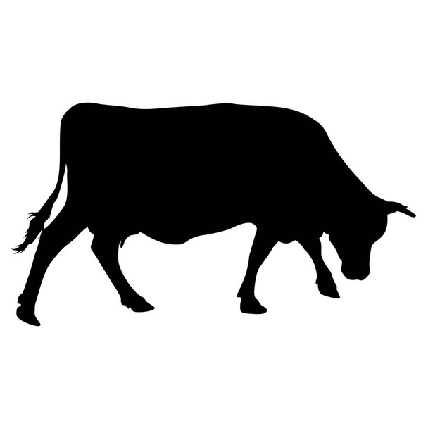 Černá silueta dojná kráva na bílém pozadí - Vektor, obrázek