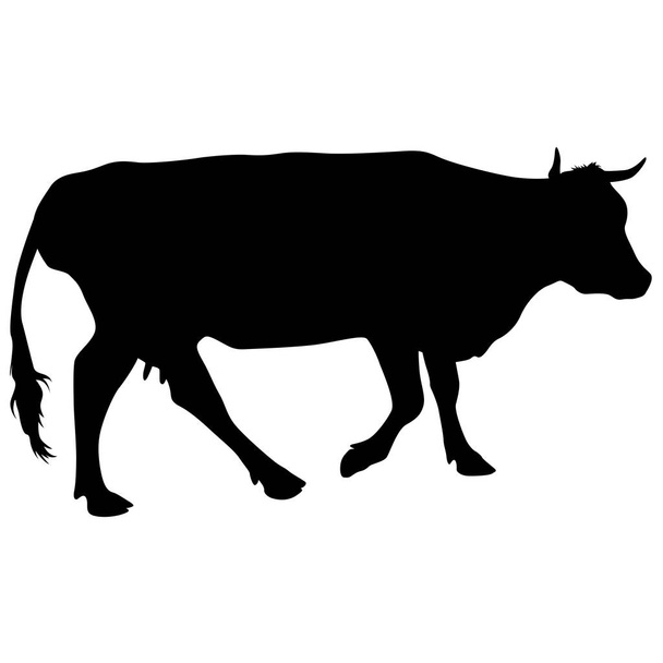 Black silhouette of cash cow on white background - Вектор,изображение