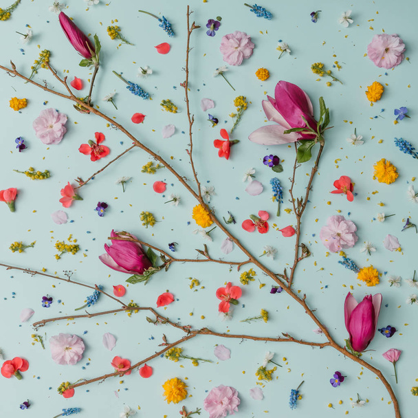 春の花と木の形で分岐 - 写真・画像