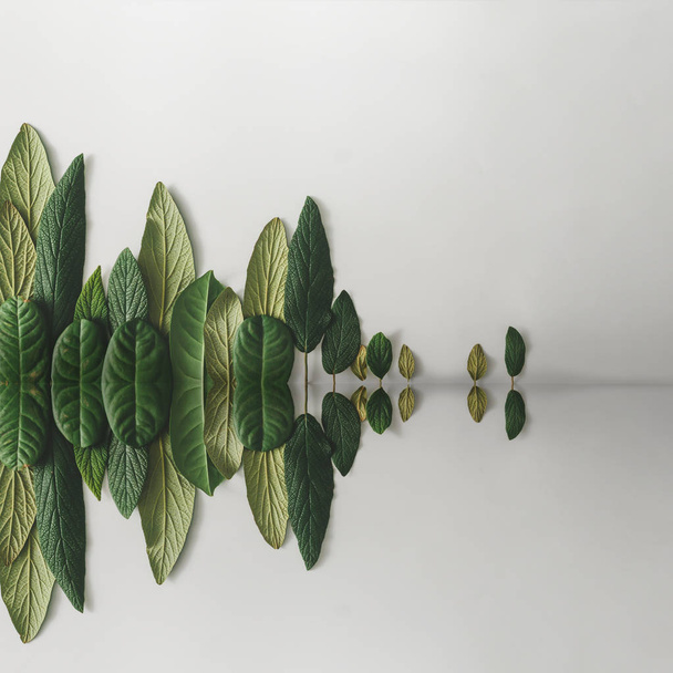 treeline con riflesso d'acqua fatto di foglie
  - Foto, immagini