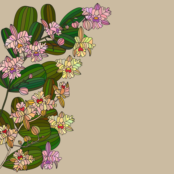 Открытка с тропическим цветком - орхидея
. - Вектор,изображение