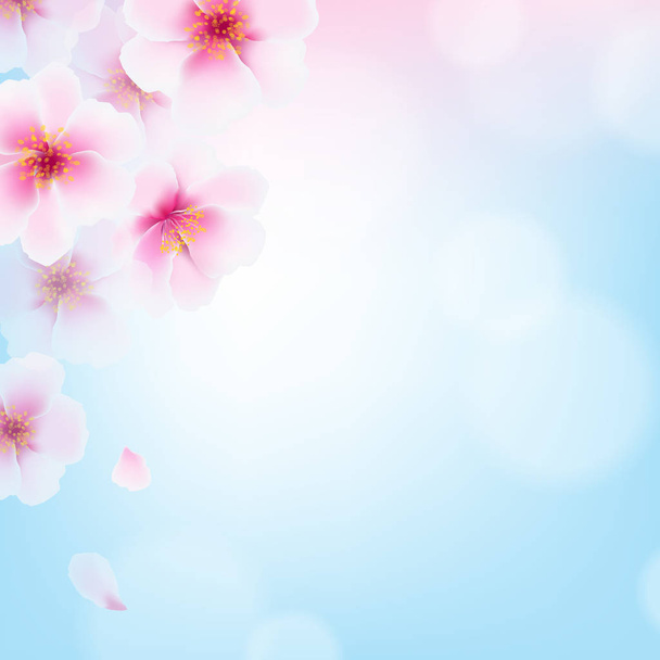 beautiful Cherry Flowers - Διάνυσμα, εικόνα