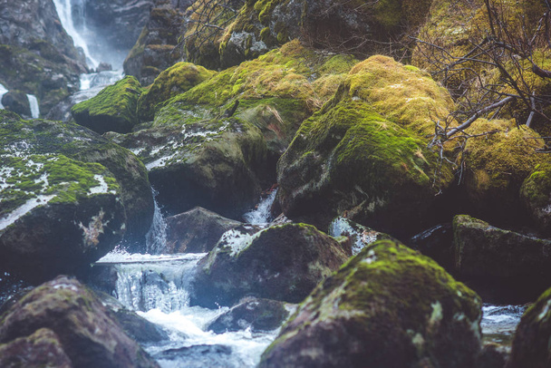Waterfall in the forest with moss stones - Foto, Imagem