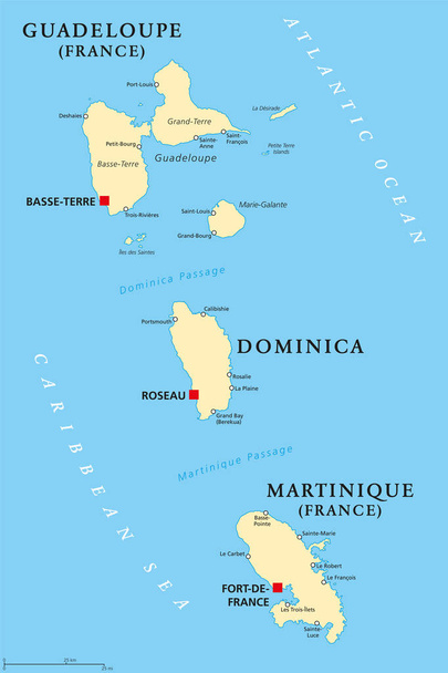 Guadalupe, Dominica e Martinica mapa político
 - Vetor, Imagem