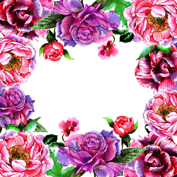 Cadre fleur pivoine fleur sauvage dans un style aquarelle isolé
. - Photo, image