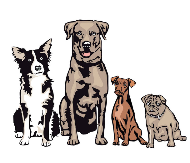 Quatro cães esperando em uma fileira
 - Vetor, Imagem