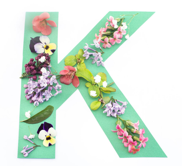 Γράμμα K από ανοιξιάτικα λουλούδια και χαρτί - Φωτογραφία, εικόνα