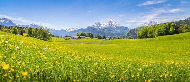 Nyáron virágzó rétek az Alpok idilli táj - Fotó, kép