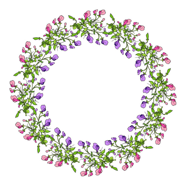 Sweet pea wreath - Vector, Image