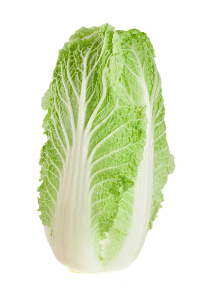chinese cabbage isolated on white background - Фото, изображение
