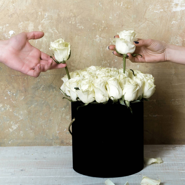 Kaksi valkoista ruusua pyöreässä mustassa maljakossa ja miesten ja naisten käsissä. Tasa-arvo ja sukupuoli. Onnellinen pari romanttinen päivä
 - Valokuva, kuva