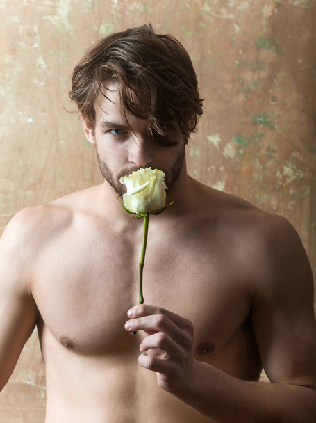 Homem atraente cheira uma rosa branca e olha para a câmera contra a parede vintage. Delicado perfume de flores, jovem nu e rosa, perfume com uma fragrância rosa
 - Foto, Imagem