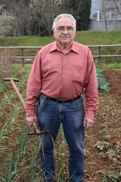 portrait of a retired man in his vegetable garden - Foto, Imagen