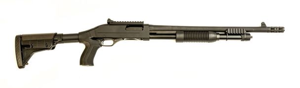 Escopeta calibre 12
 - Foto, Imagen