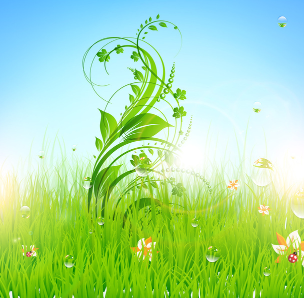 Summer vector grass wallpaper with flowers, ladybird, drops and sun shine - Vector, Image