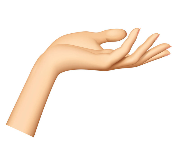 Рука женщины изолирована на белом фоне
 - Вектор,изображение